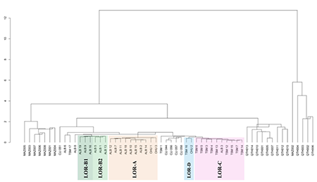 medium/medium-TP-81-01-923-gf5.png