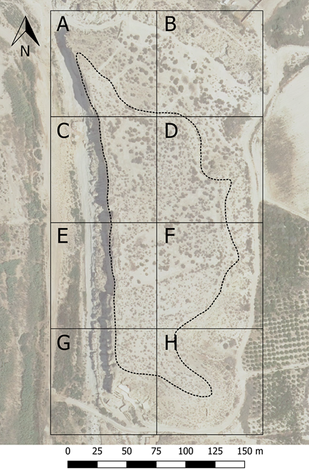 medium/medium-TP-80-1-e05-gf6.png