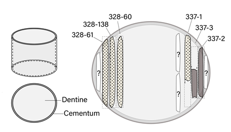 medium/medium-TP-80-1-e08-gf10.png