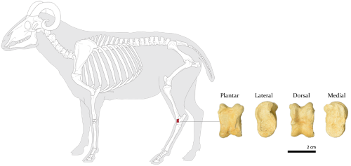 media/17b3d14ae63046e18c0b1ef84ab8087b_001.png