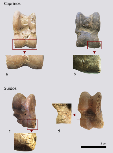 media/17b3d14ae63046e18c0b1ef84ab8087b_006.png