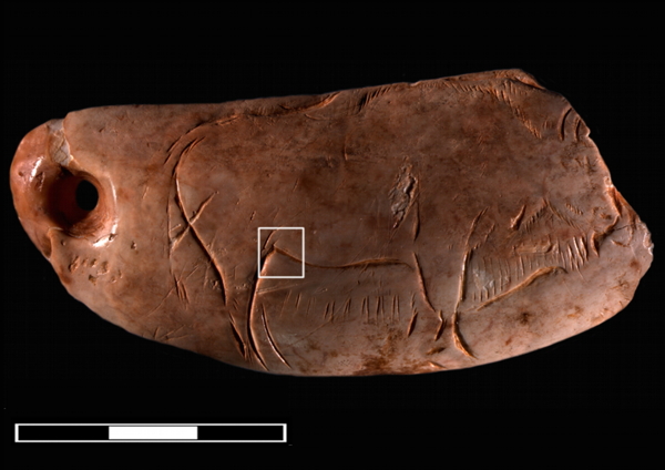 Cover image: Bison engraved on a perforated Sperm Whale tooth (Las Caldas Cave, Asturias, Spain). Photograph by Olivia Rivero. Trabajos de Prehistoria vol. 68, No. 2 (2011), p. 281.